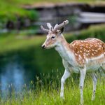 嫂子爱爱 uch0gp4dg